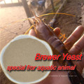 Best Supplier Brewer Yeast Powder For Poultry Feed